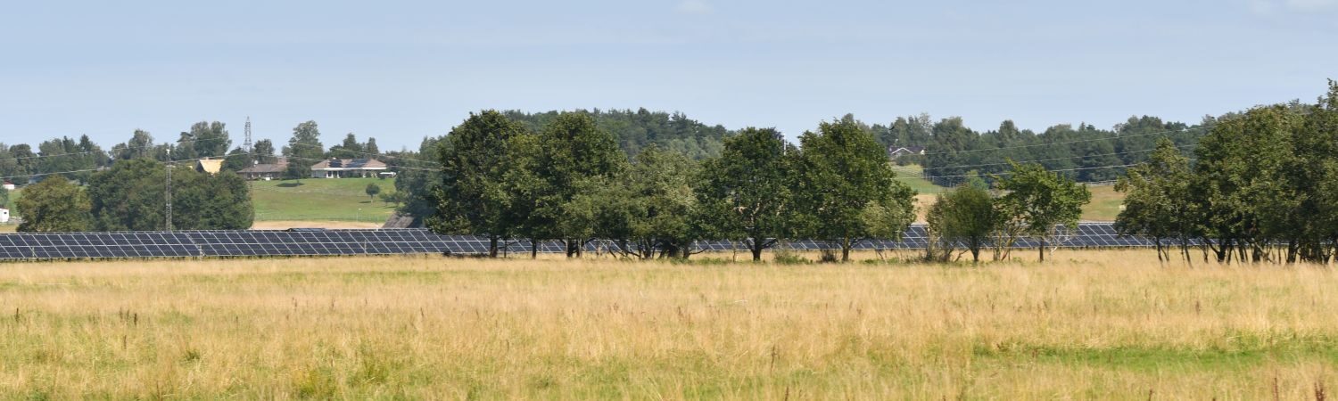                   Skördar solens strålar