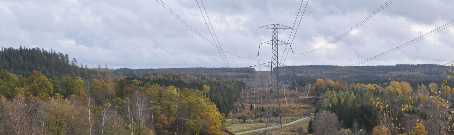                   Skördar solens strålar